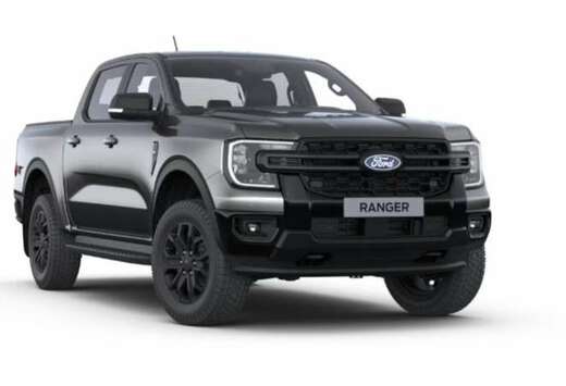 Ford 2.0 EcoBlue 151kW Aut. 4x4 Wildtrak