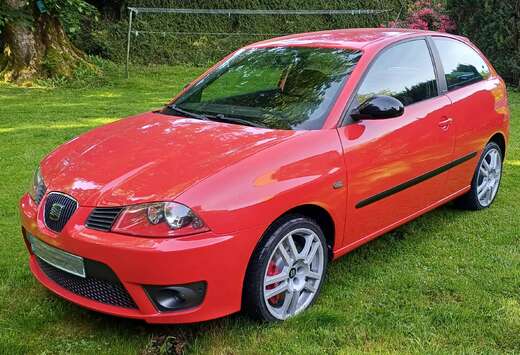 SEAT Ibiza 1.9 TDi Cupra