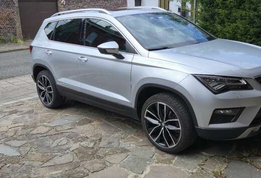 SEAT 1.5 TSI EVO Xcellence OPF DSG