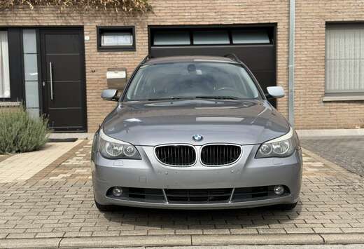 BMW D E61