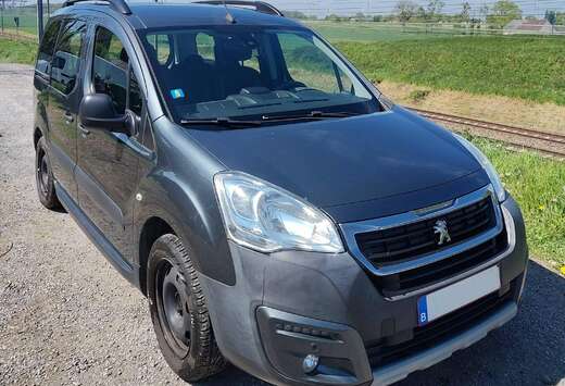 Peugeot Partner Tepee 1.6 BlueHDi Active S
