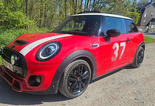 MINI EDITION PADDY HOPKIRK
