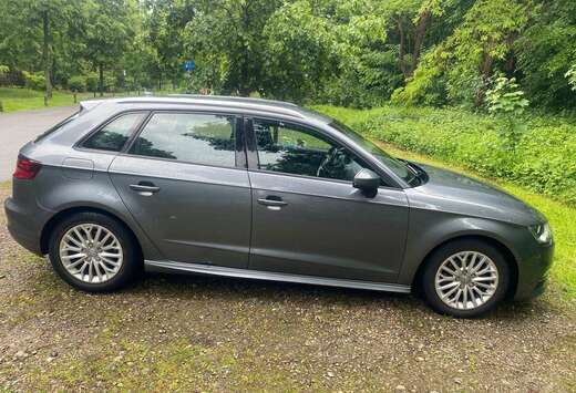 Audi 1.6 TDI (clean diesel) Ambition