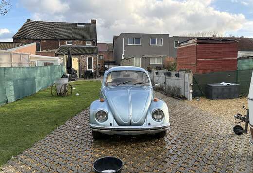 Volkswagen Avec Demande D Immatriculation