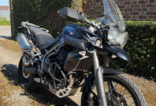 Triumph XC ( Plaque Francaise)