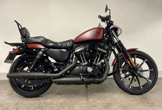 Cruiser XL883N IRON