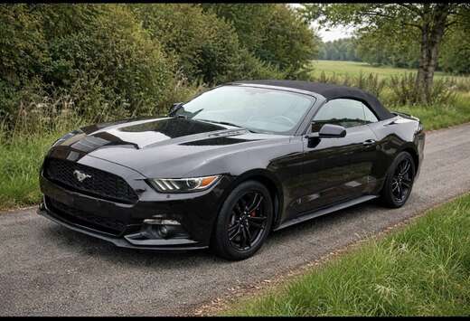 Ford Convertible 2.3 EcoBoost