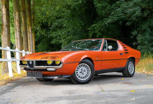 Alfa Romeo V8 COUPE - OLDTIMER