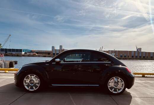 Volkswagen 2.0 Feder Edition
