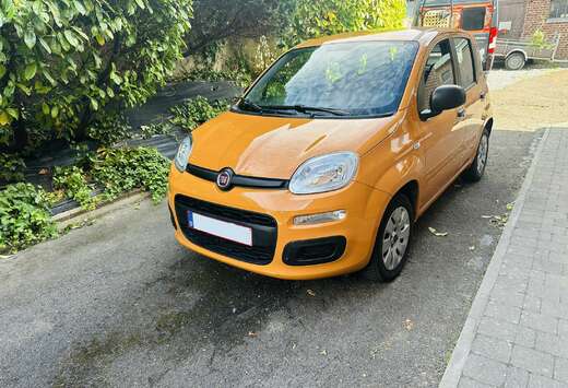 Fiat 1.2i Easy (EU6d-TEMP)