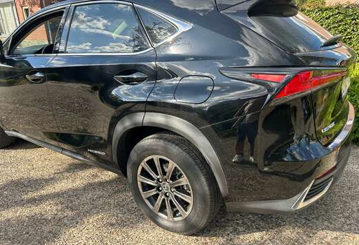Lexus NX 300h 2.5i AWD Business Line  E-CVT (EU6.2)