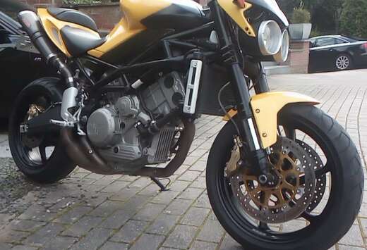 Limited Giallo