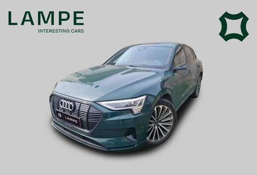 Audi 55 Quattro Advanced Goodwood Green Pano B&O