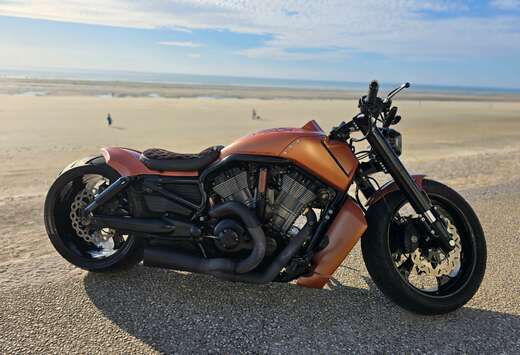 Vrod muscle