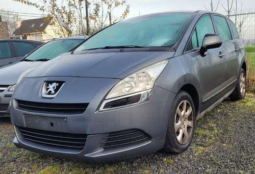 Peugeot 1.6i AL BLANCO GEKEURD ROOS FORM AIRCO PDC 20 ...