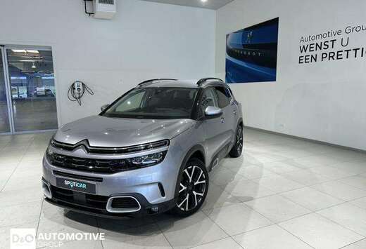 Citroen shine