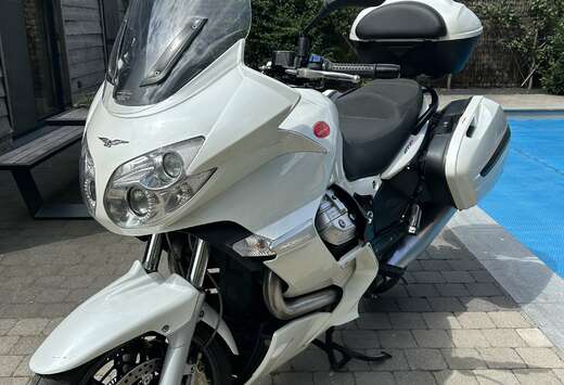 GT