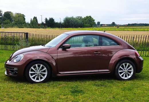 Volkswagen The Beetle 2.0 TDI DPF DSG Blue Motion Tec ...