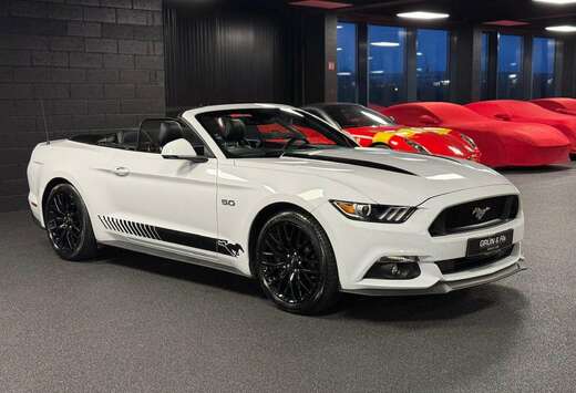 Ford 5.0 GT CABRIO *Europa Model