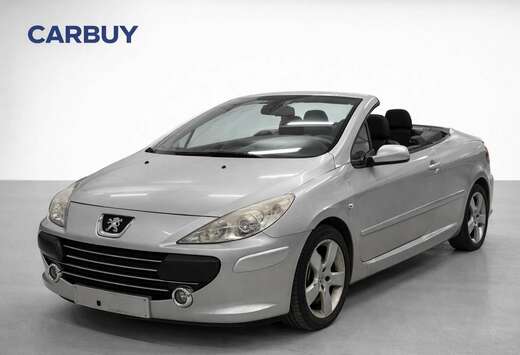 Peugeot Cabrio  Leer Interieur