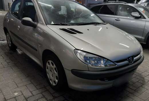 Peugeot 206 1.1i Enfant Terrible