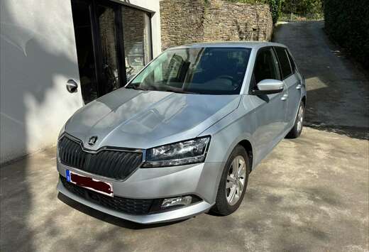 Skoda Fabia 1.0 TSI Clever DSG