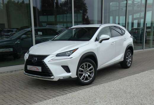 Lexus Hybrid AWD Executive Line +LEDER +Zetelverwarmi ...