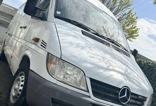 Mercedes-Benz 313CDI Maxi uitvoering