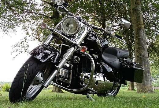 Suzuki legendary classic