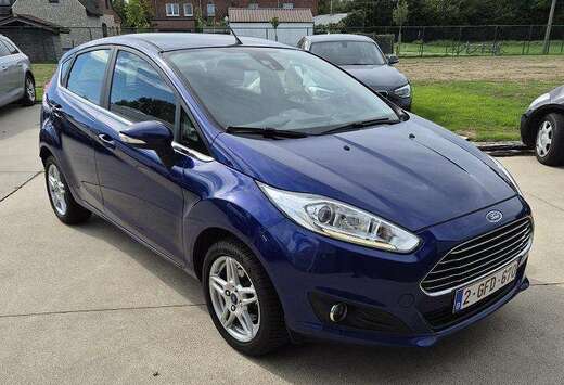 Ford Fiesta 1.0 EcoBoost - Mooie staat