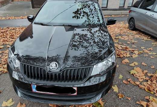 Skoda Fabia Combi 1.0 MPI Clever