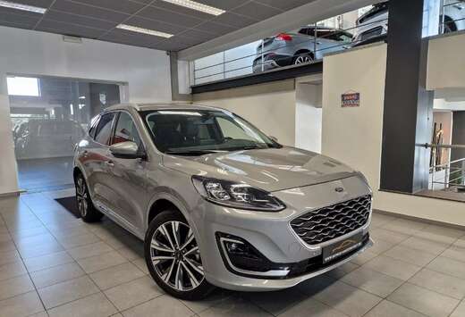 Ford VIGNALE PLUG-IN HYBRIDE 2 JAAR WAARBORG