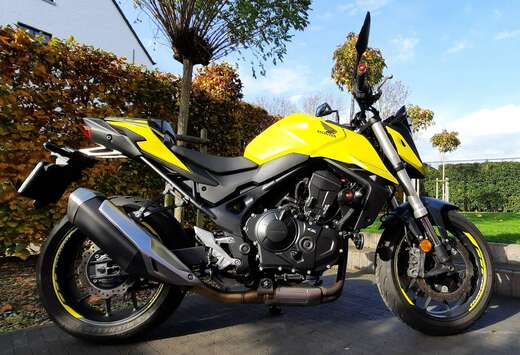 Honda Hornet