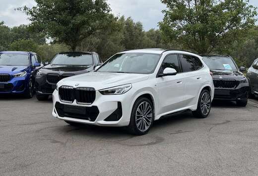 BMW sDrive18i M Sport / PANODAK / TREKHAAK / DODE HOE ...