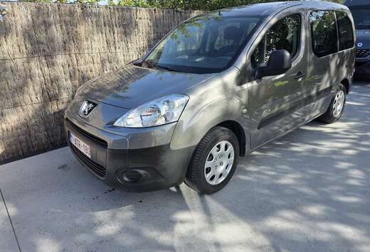 Peugeot 1.6i L1H1 Confort 120