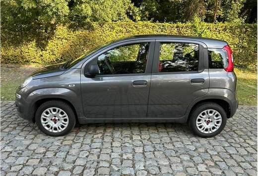 Fiat Panda 1.2 Lounge