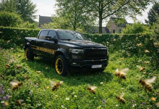 Dodge Limited “rumble Bee”