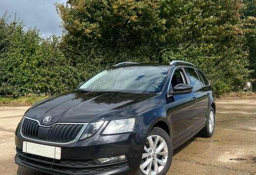 Skoda Combi 1.0 TSI (Green tec) DSG Ambition