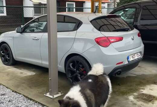 Alfa Romeo 1.6 JTD M-Jet Distinctive Start&Stop