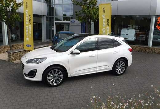 Ford Vignale FHEV AUT
