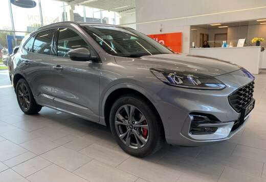 Ford Plug-In Hybrid ST-Line X
