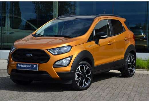 Ford EcoBoost Active