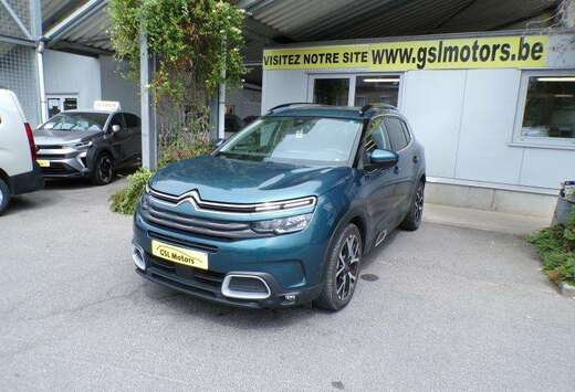 Citroen 1.5HDi 130cv Vert 11/19 Airco GPS Bluetooth C ...