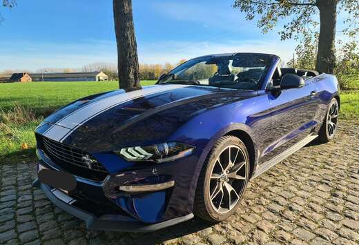 Ford Ford mustang 2.3 essence fifty five