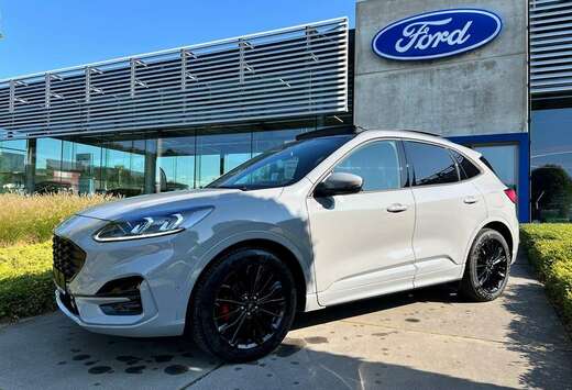 Ford ST-Line X - 2.5i FHEV - 190 PK