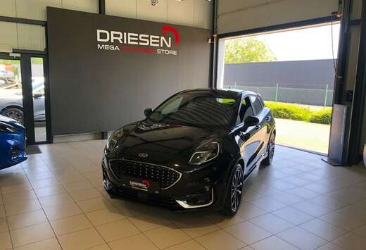 Ford Ecoboost mHEV ST-Line V  BIJ DRIESEN BREE   089/ ...