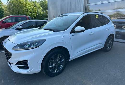 Ford ST Line 2.5PHEV 225PK     Frozen White / Winter  ...
