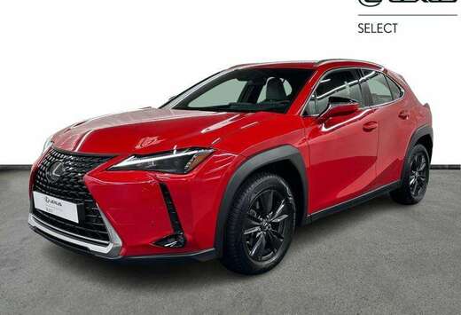 Lexus Business Line 2WD