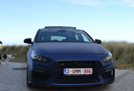 Hyundai Fastback N 2.0 T-GDi Performance Pack