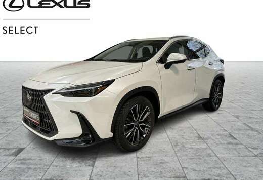 Lexus PRIVILIGE LINE 2.5 HYB CVT